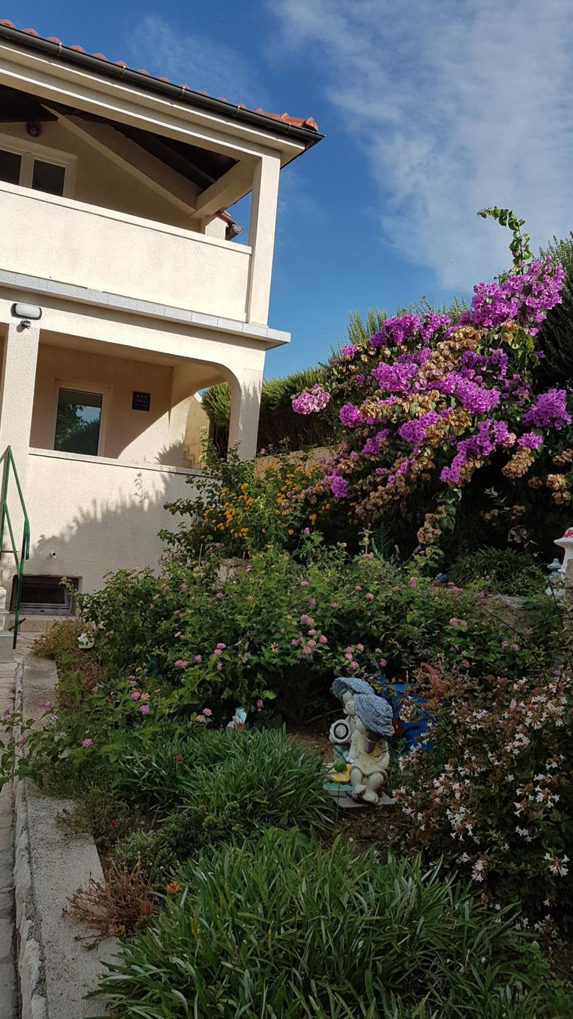 Apartmani Roza לופאר מראה חיצוני תמונה