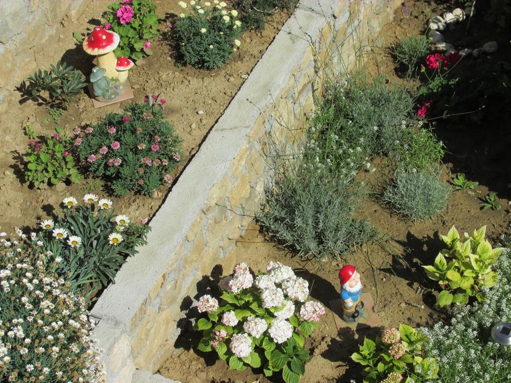 Apartmani Roza לופאר מראה חיצוני תמונה
